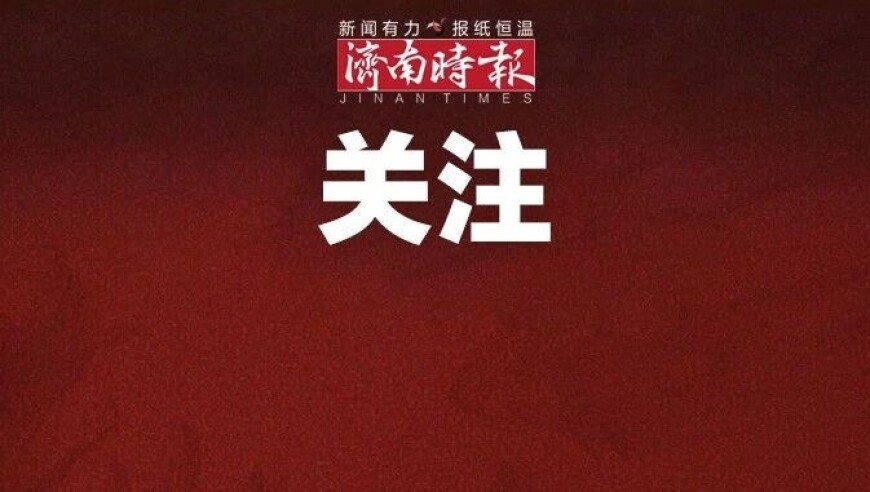 德国大选结果解读,香港白小白免费资料2025,机构预测与落实方法揭秘_专家版V2.11
